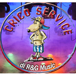 Cricoservice logo