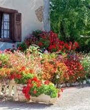 Yvrard Monique image 1