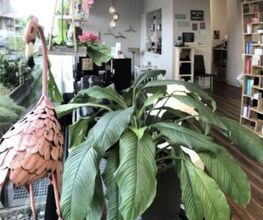 Haar Lounge Sommer & Ferreri Bild 3