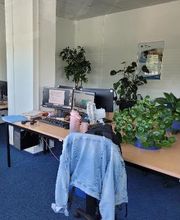 Mehrere Arbeitsbereiche, die mit 2 PC-Bildschirmen, Tastatur, Maus und Headset ausgestattet sind. Einige grüne Topfpflanzen stehen auf den Tischen. Über einen Bürostuhl hängt eine Jeansjacke.