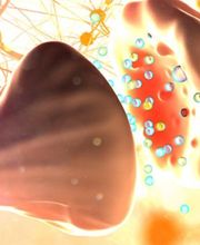 Béatrice Perez SynergieLiber t.. image 7