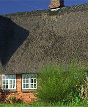 Sylt-Ferienobjekte Inken Schlüter Bild 1