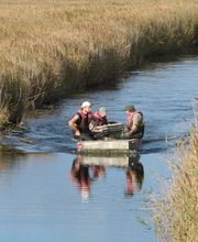Fougère Michel image 1