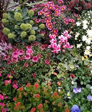 Les Serres de la Menardiere image 1