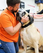 Shawnee Animal Hospital image 4