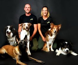 Dogs Adventure GmbH Bild 1
