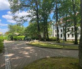 Eine gepflasterte Straße mit Grüninseln und Bäumen.