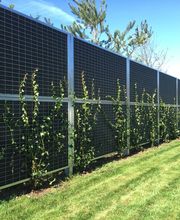 Tim Schmid Paysages Bild 8