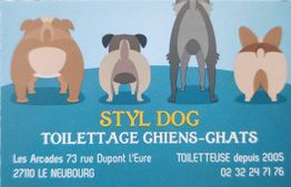 Styl Dog