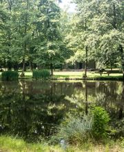 Blick über den idyllischen See im FriedWald Markersdorf.
