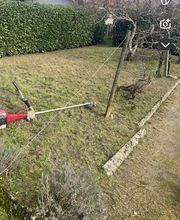 Philipot Sony image 2