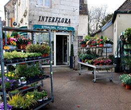 Strassel Fleurs image 4