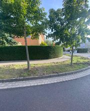 Limaj Heckenpflege