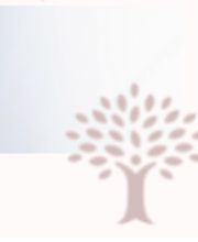 Catherine Mache image 6