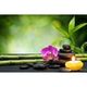Nani Thai-Massage