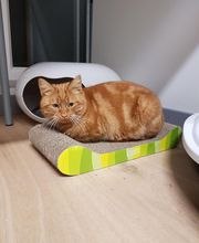 Pattenrond & Cie image 9