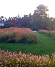 Gina Art Paysagiste Sàrl Bild 6