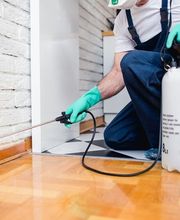 Limpiezas La Salud imagen 6