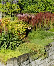 Villiger Arnosti Gartenbau AG Bild 8