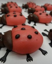 Zeller Chocolatier SA Bild 9