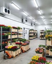 Isotech GmbH Bild 2