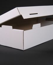 Kartonfritze Carl Evers GmbH & Co. KG Bild 31