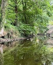 Ferienhaus am Fluss Bild 12