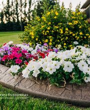 Lewis Enterprises LLC image 3