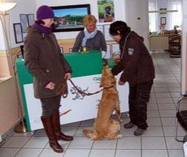 Werner Hundeinternat Antonienwald Bild 1