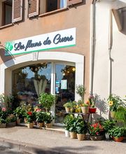 Les Fleurs de Cuers image 16
