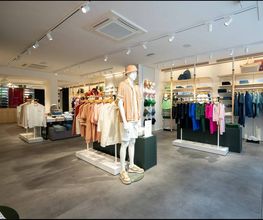 Lacoste Vannes image 2