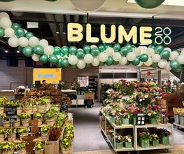 BLUME2000 Darmstadt Bild 3