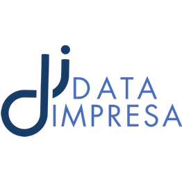 Data Impresa Srl Stp Studio di Dottori Commercialisti e Consulenti del Lavoro logo