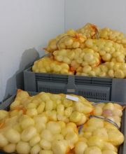 CEBESTUR,S.L. imagen 20