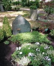 Blumenhof Müller oHG Bild 2