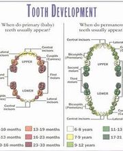 Atlantic Avenue Dental, P.C. image 2