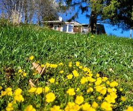 Freiraumhoch2 Bild 8