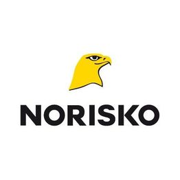 CT Brain sur L'Authion Contrôle technique Automobile et Moto Loire Authion Partenaire Norisko