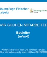 Bauleiter (m/w/d)