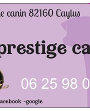 O'Prestige Canin image 1