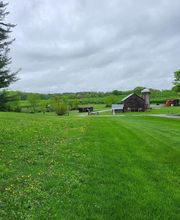 SavATree - Tree Service & Lawn Care image 12