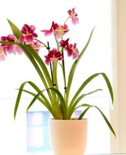 Hausarztpraxis-Thun Bild 6