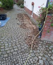 GDS Sven Hos Garten- und Dienstleistungsservice Bild 12