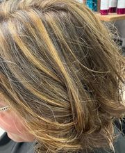 Salon Captif image 3