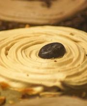 Délices Charentais image 2