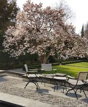 VITA VERDE AG Bild 2