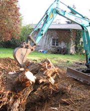 Tree Services Company image 1