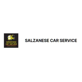 Carrozzeria Salzanese Car Service logo