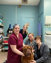 Paumanok Veterinary Hospital image 19