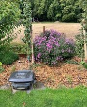 Grundstückspflege und Motorsägenkunst Colin Sand Bild 7